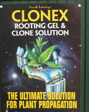 Clonex